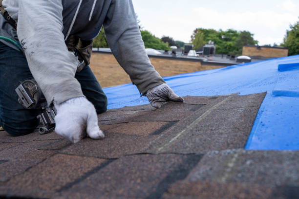 Best Commercial Roofing Services  in Hasley Nyon, CA