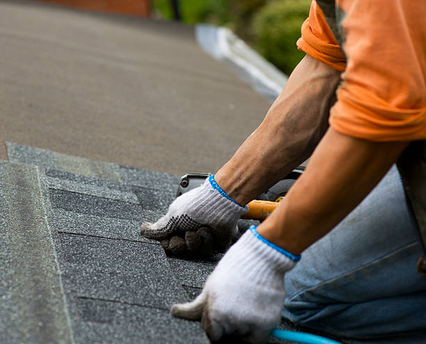 Best Gutter Installation and Roofing  in Hasley Nyon, CA