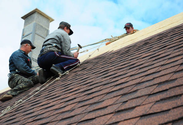 Professional Roofing Contractor in Hasley Canyon, CA